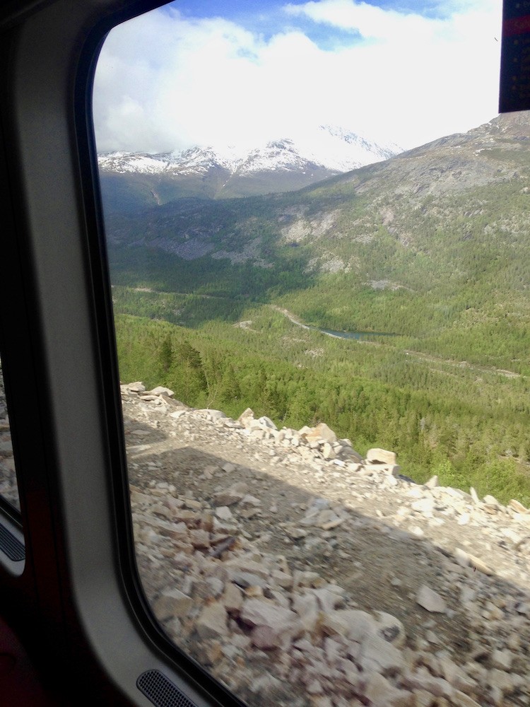 Uitzicht trein Noorwegen