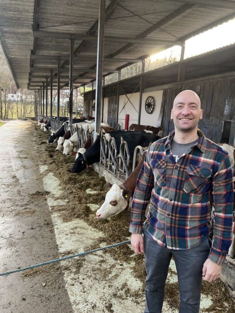 Lillachquelle-Bauernhof-Kühe